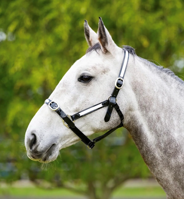 EquestPRO PVC Overlay Halter