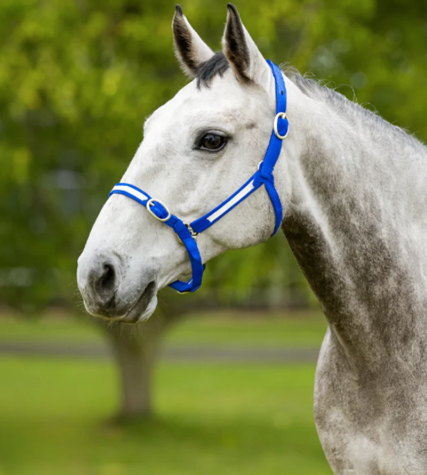 EquestPRO PVC Overlay Halter