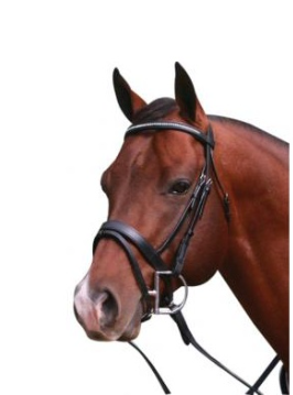 Eureka - Krystal Hanoverian Bridle