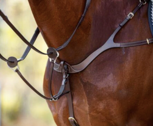 Cavalier Anatomic Breastplate