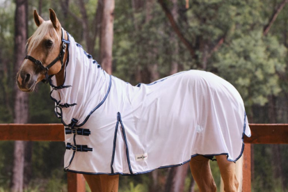 Eureka - Airmesh Combo