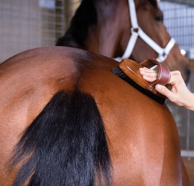 Hairy Pony - Essential Oil Coat Conditioner