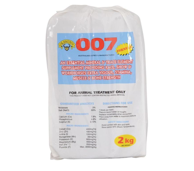 Olsson Horse Brick 007