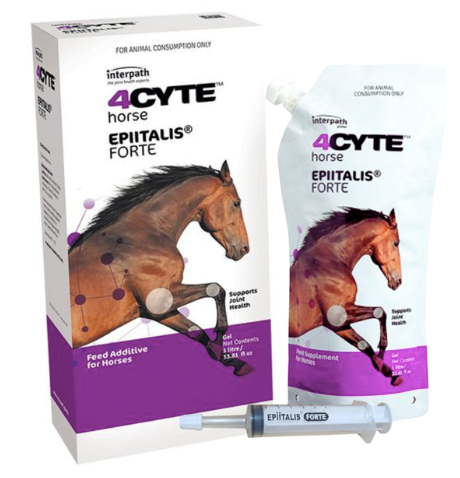4 Cyte Equine Epiitalis Gel