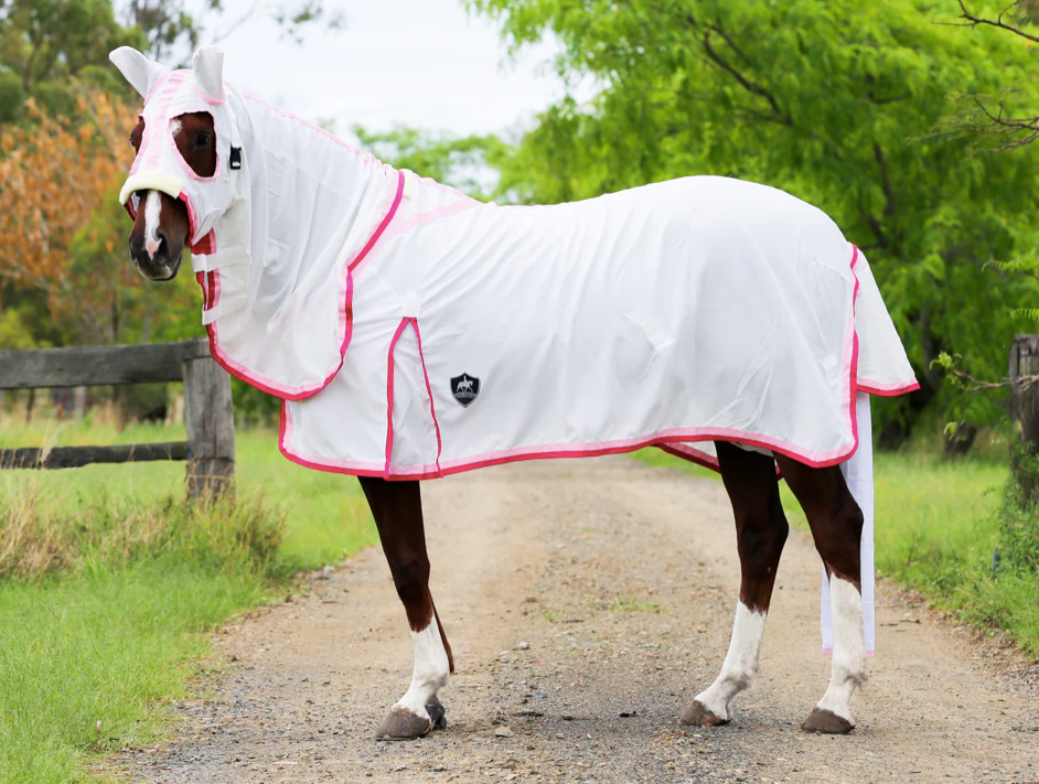 Gala Equine Flag Hood Combo White - Double Pink Trims