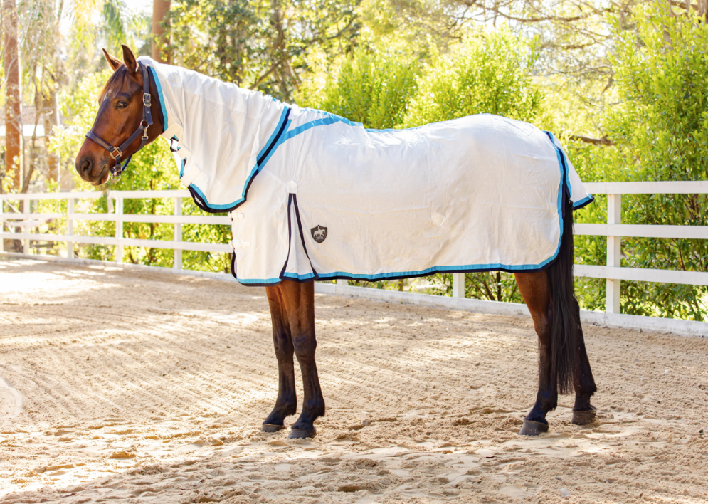 Gala Equine Flag Neck Combo