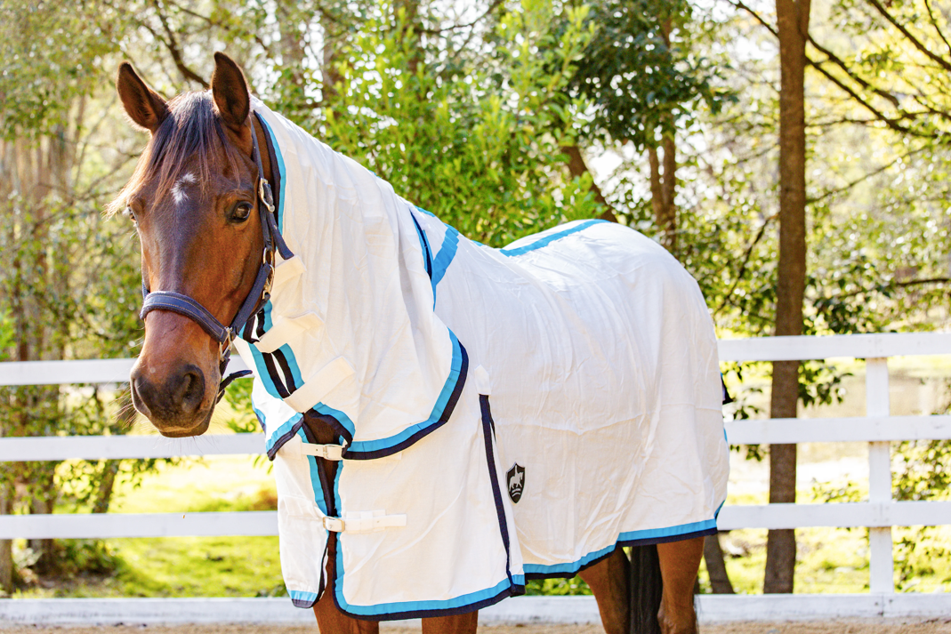 Gala Equine Flag Neck Combo