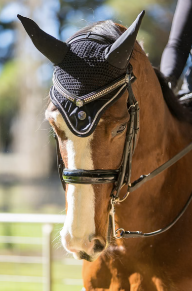 BARE Horse Wear - 'Pro Ears' Earnet