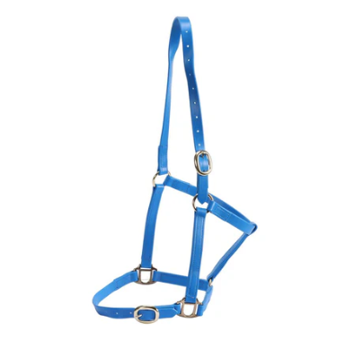 3/4" PN Halter Brass