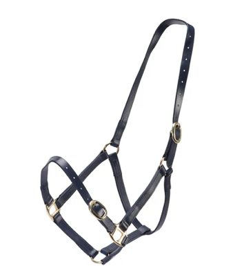 3/4" PN Halter Brass