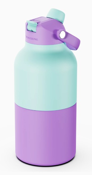 Insulated Water Bottle