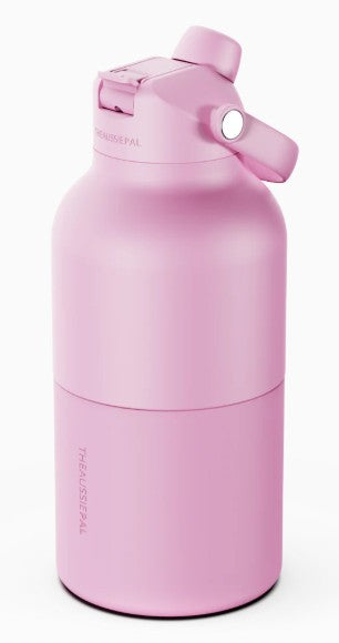 Insulated Water Bottle