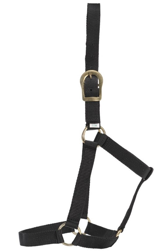 Stable Halter