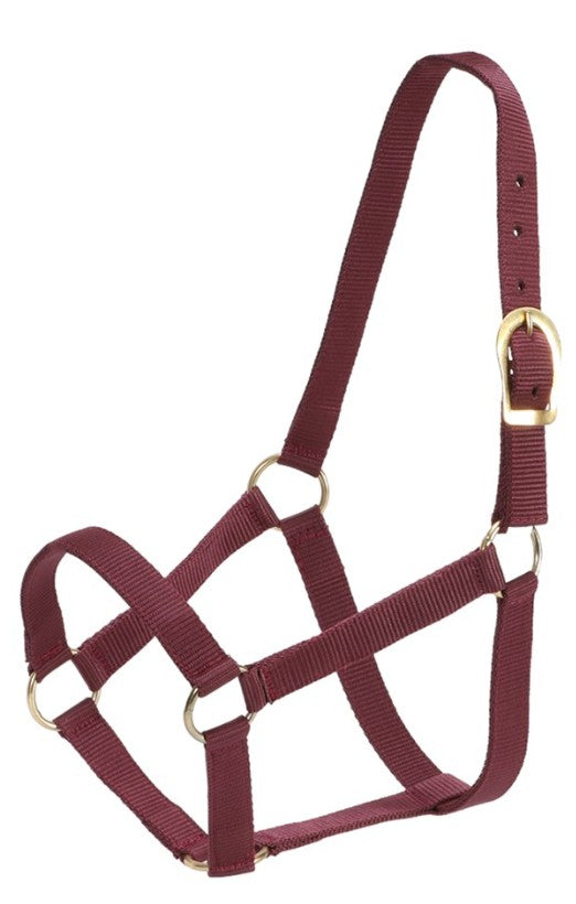 Stable Halter