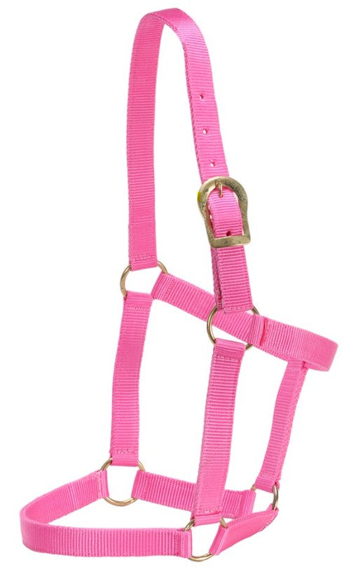 Stable Halter