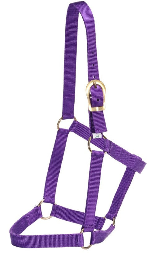 Stable Halter