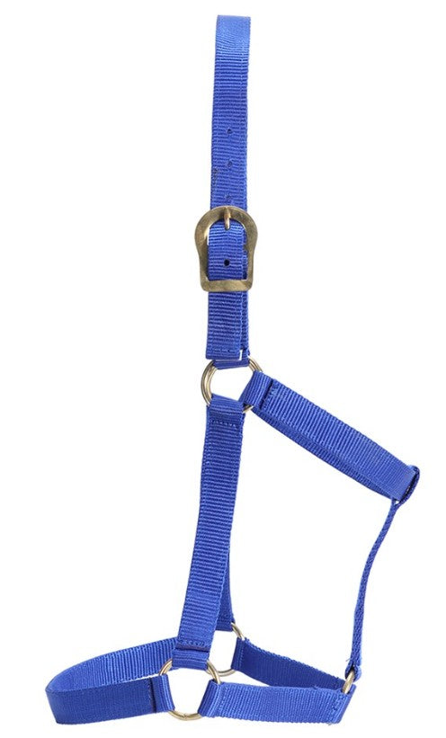 Stable Halter
