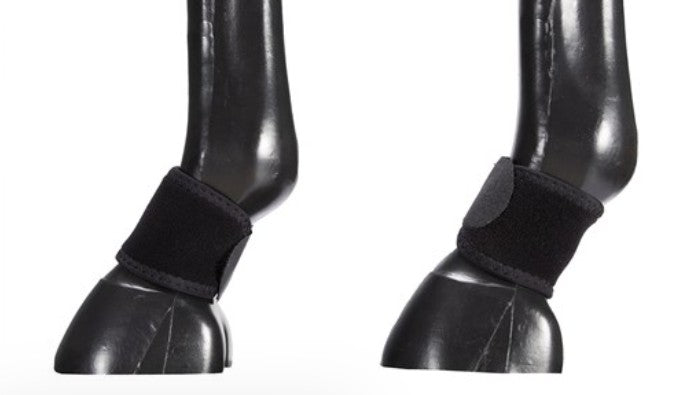 Pastern Wraps Black