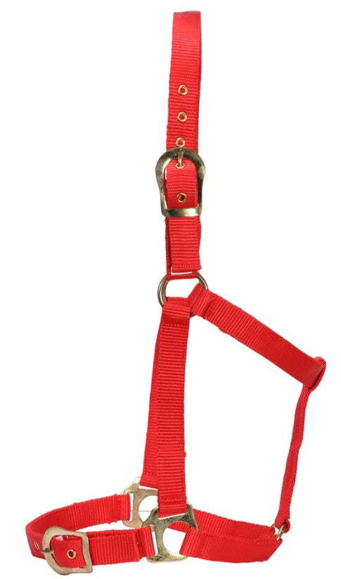Halter w/Brass Buckles