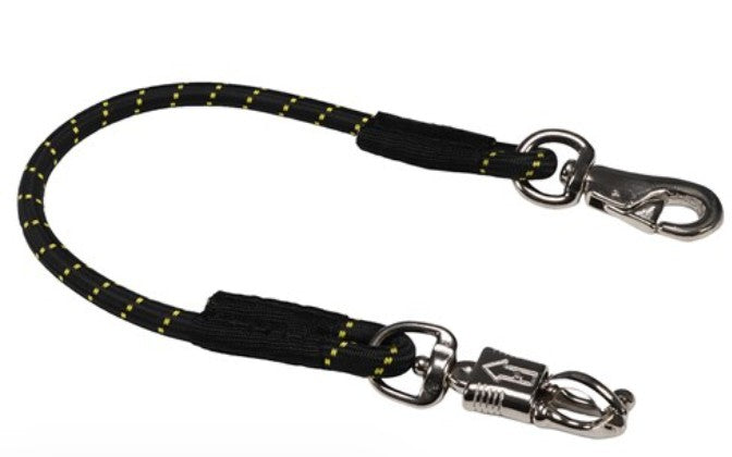 Bungee Trailer Tie