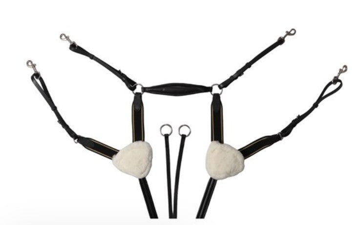 J&amp;L Five Point Breastplate