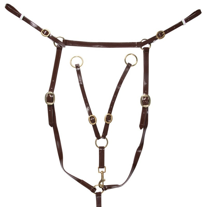 Brass Stockman's Breastplate