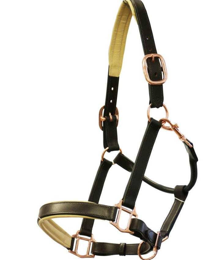 J&amp;L Padded Leather Halter
