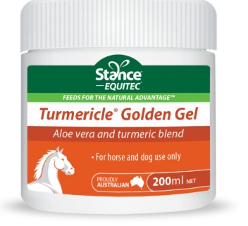 Stance - Tumericle Golden Gel