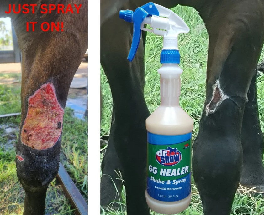 Dr Show GG Healer Shake & Spray Essential Oil Spray