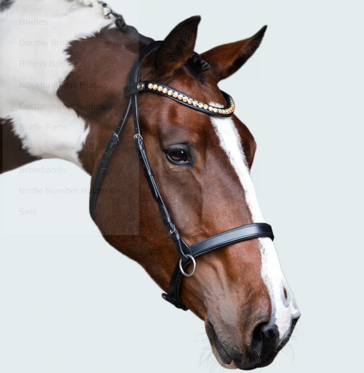 Lumiere - Seline Bitless Bridle