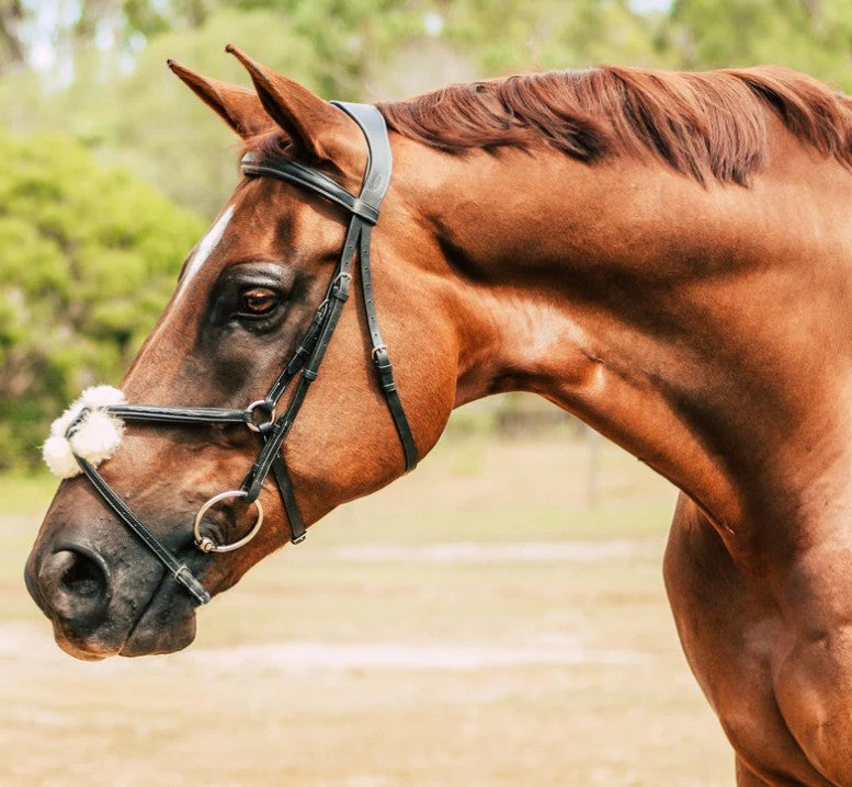 Lumiere - Ava Grackle Bridle (Sheepskin)