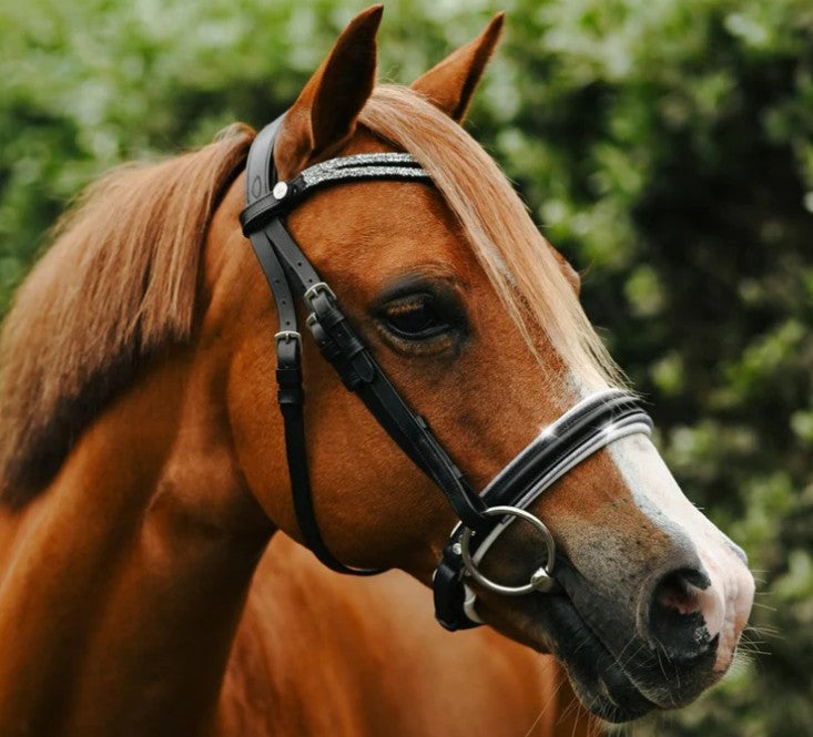 Lumiere - Princess bridle (Lumi Pony)