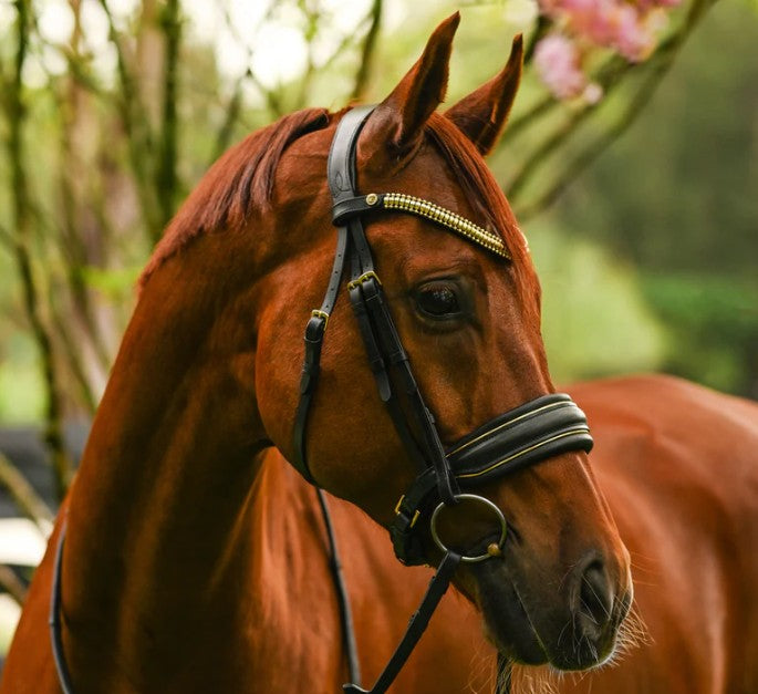 Lumiere - Delta bridle (cavesson)