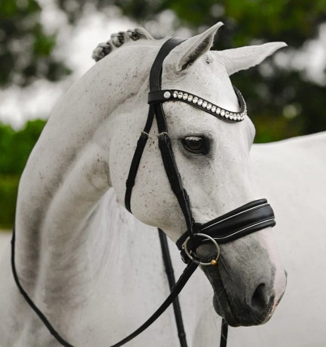 Lumiere - Diva bridle (cavesson)