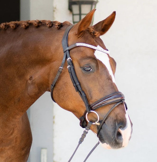 Lumiere - Amie Rolled Leather Bridle (Hanoverian)