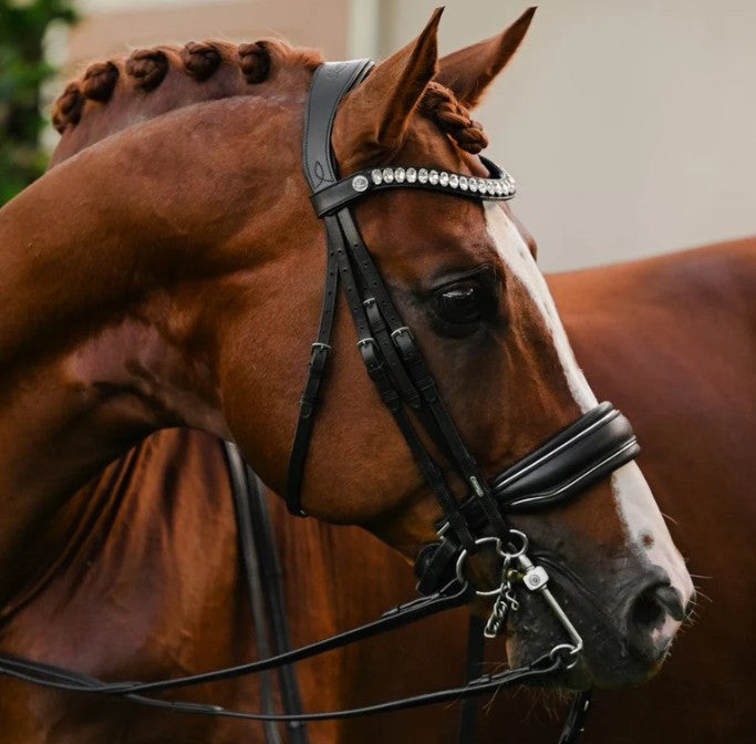 Lumiere - Diva Double Bridle