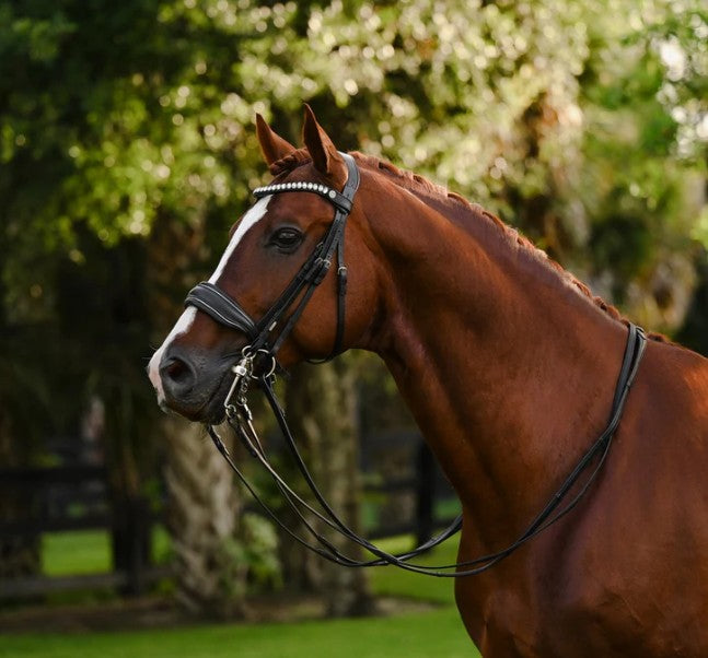 Lumiere - Diva Double Bridle