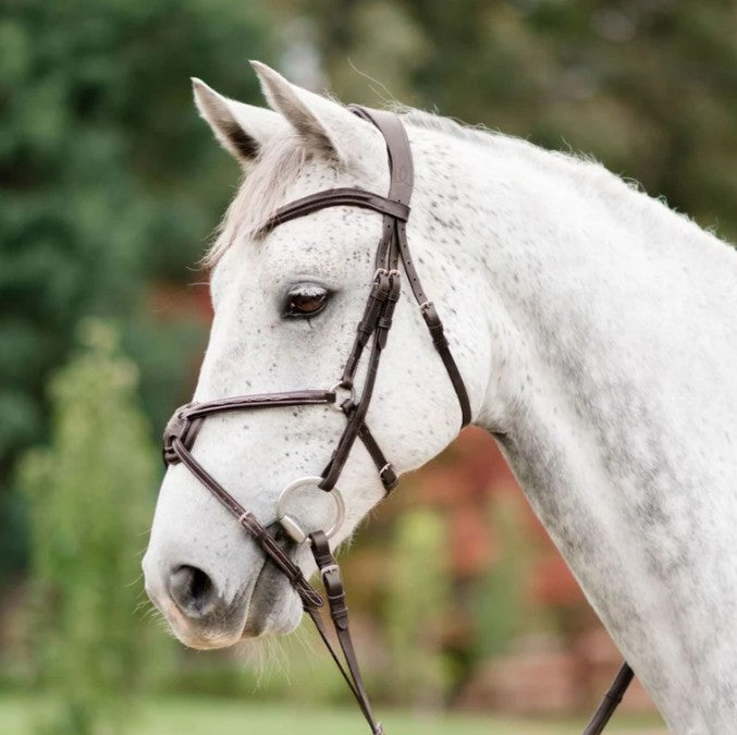 Lumiere - Ava Grackle Bridle (No Sheepskin)