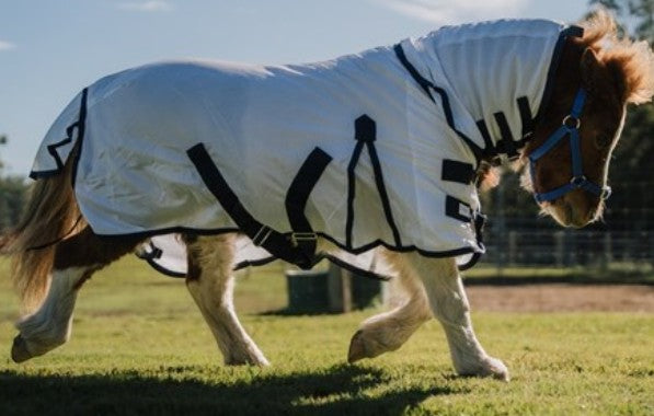 Mini Mesh Summer Combo