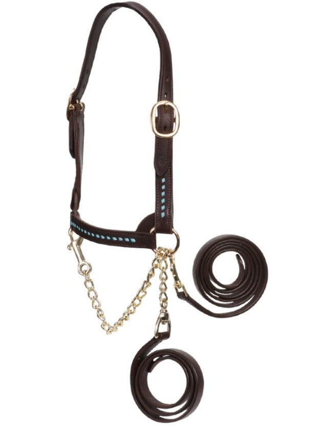 Show Cattle Halter Buckstitched