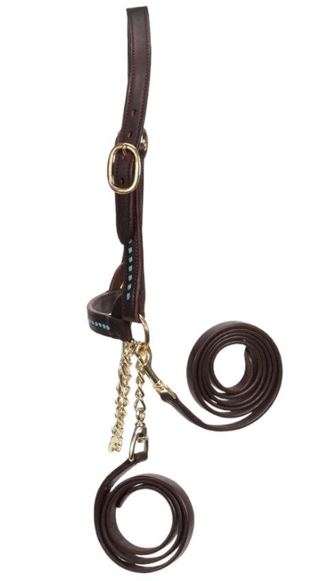 Show Cattle Halter Buckstitched