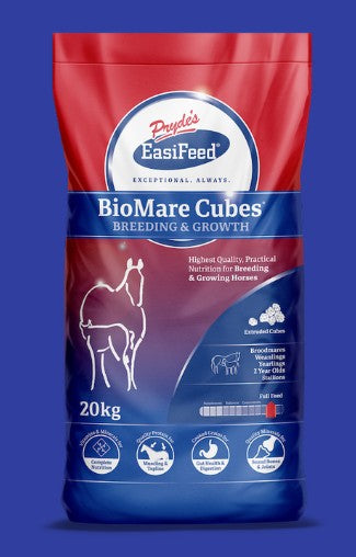 Prydes BioMare Cubes 20kg