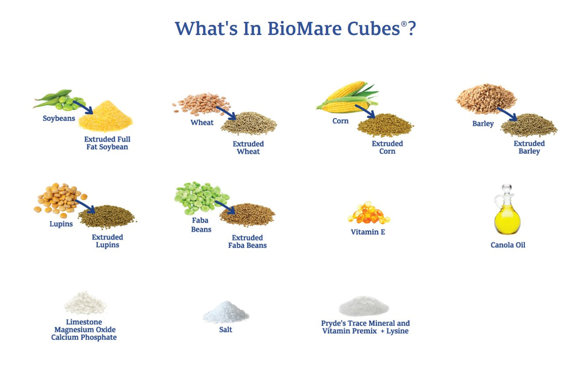 Prydes BioMare Cubes 20kg