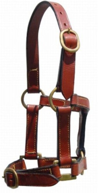 HALTER MINATURE BROWN
