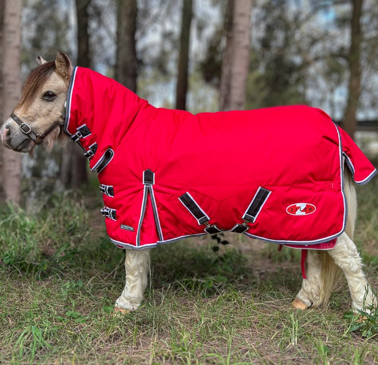 COMBO MIGHTY MINI 200