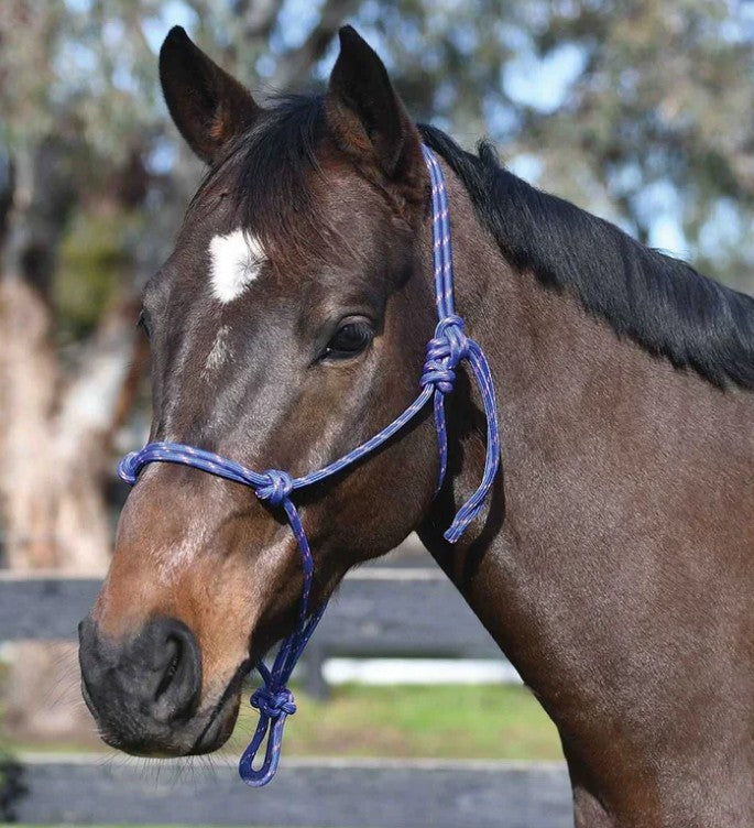 Academy Rope Halter