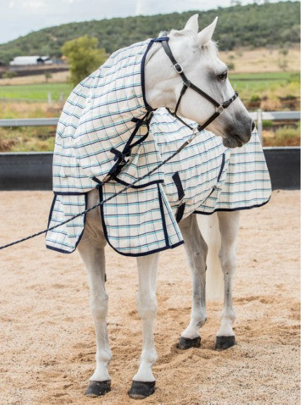 EW Dual Season Combo Wool