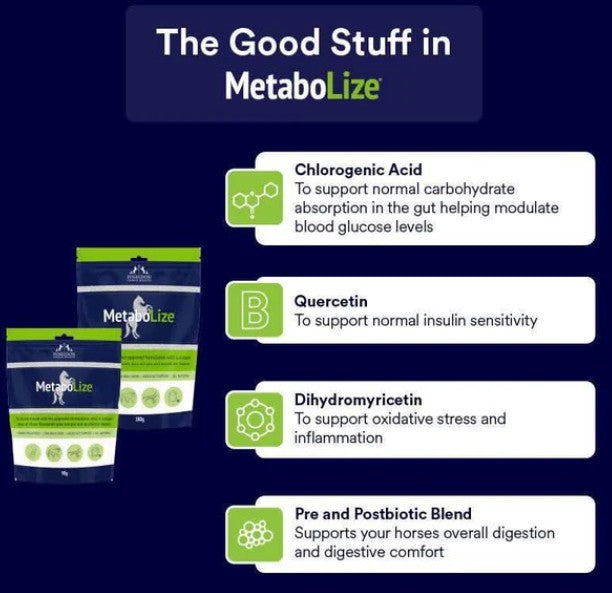 Metabolize