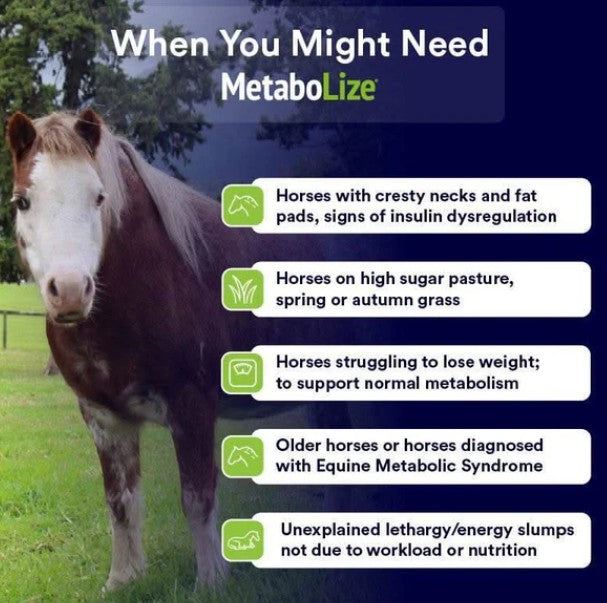 Metabolize