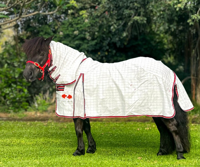 COMBO ECONOSTOP MINI